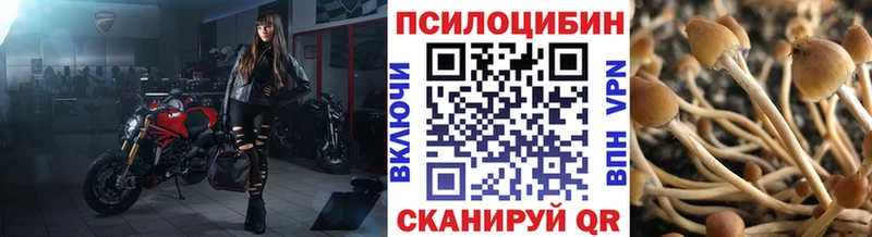 Галлюциногенные грибы Psilocybine cubensis дарк нет телеграм Енисейск KRAKEN вход